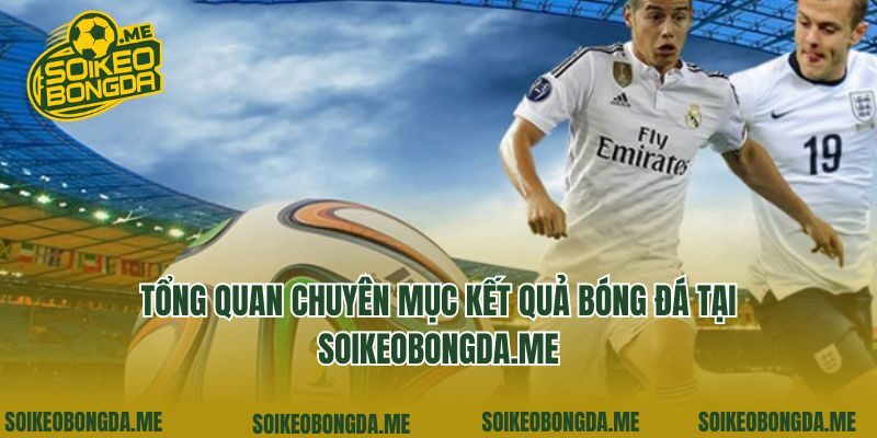 Tổng quan chuyên mục kết quả bóng đá tại da-he.com.tw