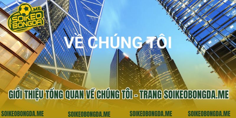 Giới thiệu tổng quan về chúng tôi - trang da-he.com.tw