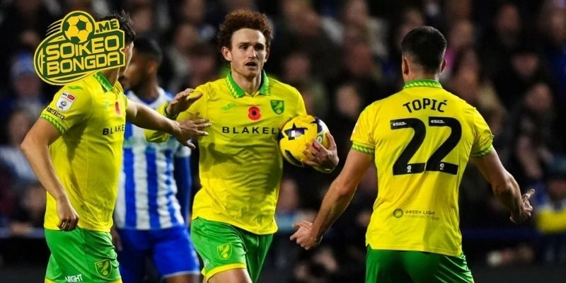Phân tích, soi kèo Norwich City vs Sheffield Wednesday trong giải Hạng Nhất Anh 2026